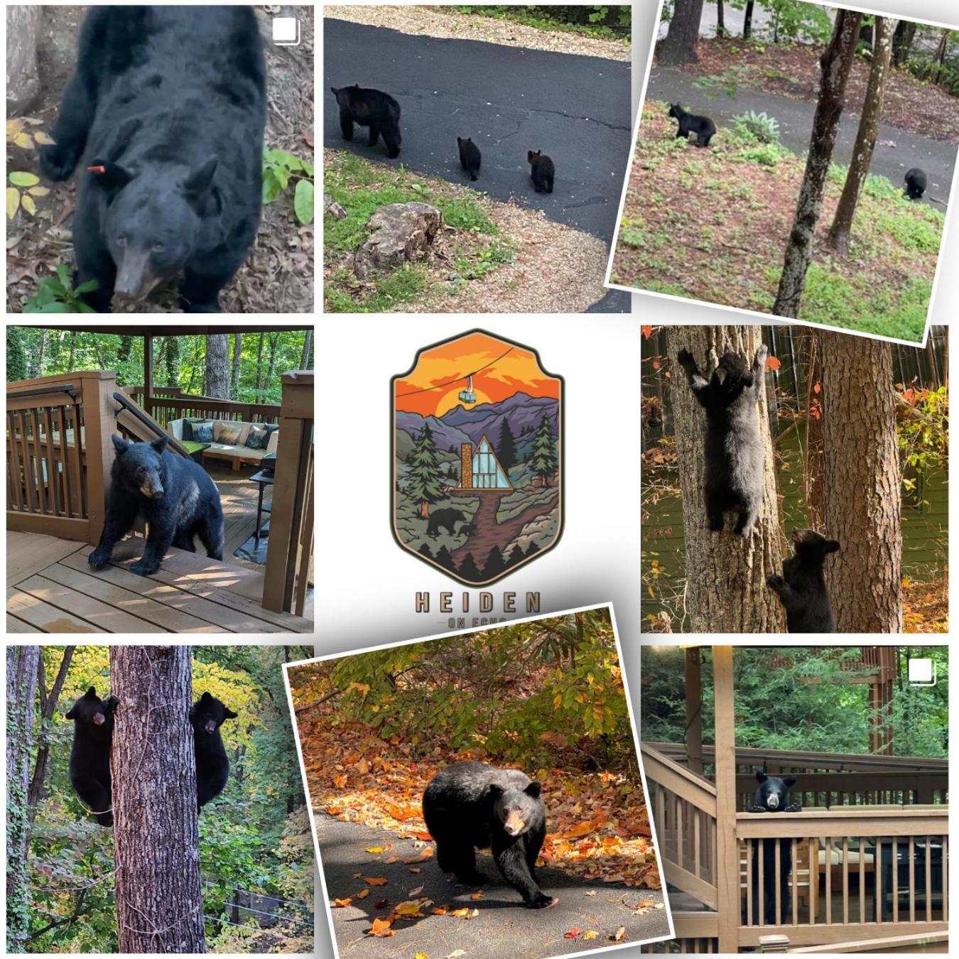 1Mile Downtown, Handicap Ramp, Hot Tub, Game Room Gatlinburg Eksteriør bilde